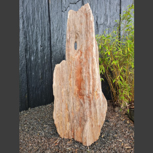 versteinertes Holz  geschliffen 69cm