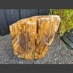 versteinertes Holz  geschliffen 69cm