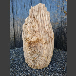 versteinertes Holz  geschliffen 69cm