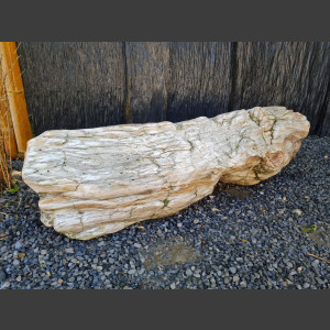 versteinertes Holz  geschliffen 69cm