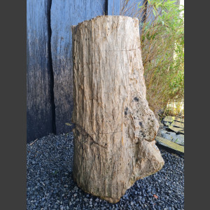 versteinertes Holz  geschliffen 69cm