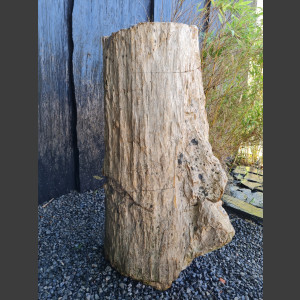 versteinertes Holz  geschliffen 69cm