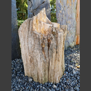 versteinertes Holz  geschliffen 69cm