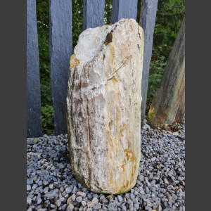 versteinertes Holz  geschliffen 69cm