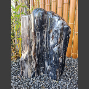 versteinertes Holz  geschliffen 69cm