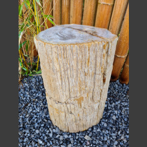 versteinertes Holz  geschliffen 69cm