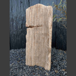 versteinertes Holz  geschliffen 69cm