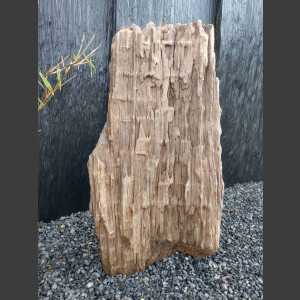 versteinertes Holz  geschliffen 69cm