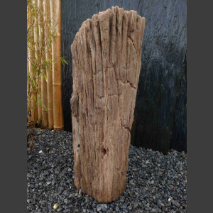 versteinertes Holz  geschliffen 69cm