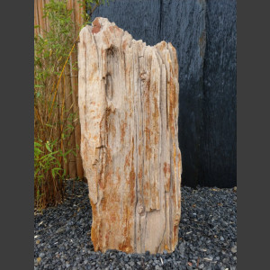 versteinertes Holz  geschliffen 69cm