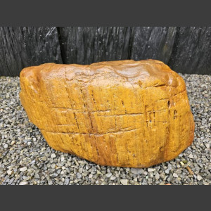 versteinertes Holz  geschliffen 69cm