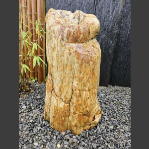versteinertes Holz  geschliffen 69cm