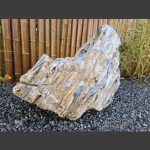 versteinertes Holz  geschliffen 69cm