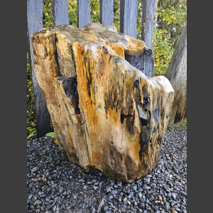 versteinertes Holz  geschliffen 69cm