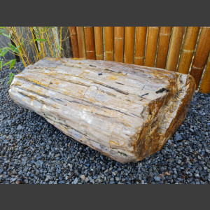 versteinertes Holz  geschliffen 69cm