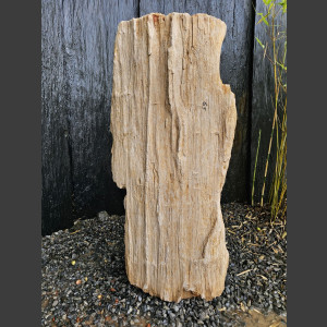 versteinertes Holz  geschliffen 69cm