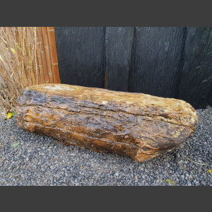 versteinertes Holz  geschliffen 69cm