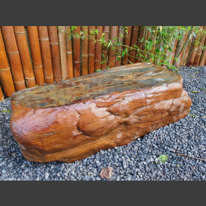 versteinertes Holz  geschliffen 69cm