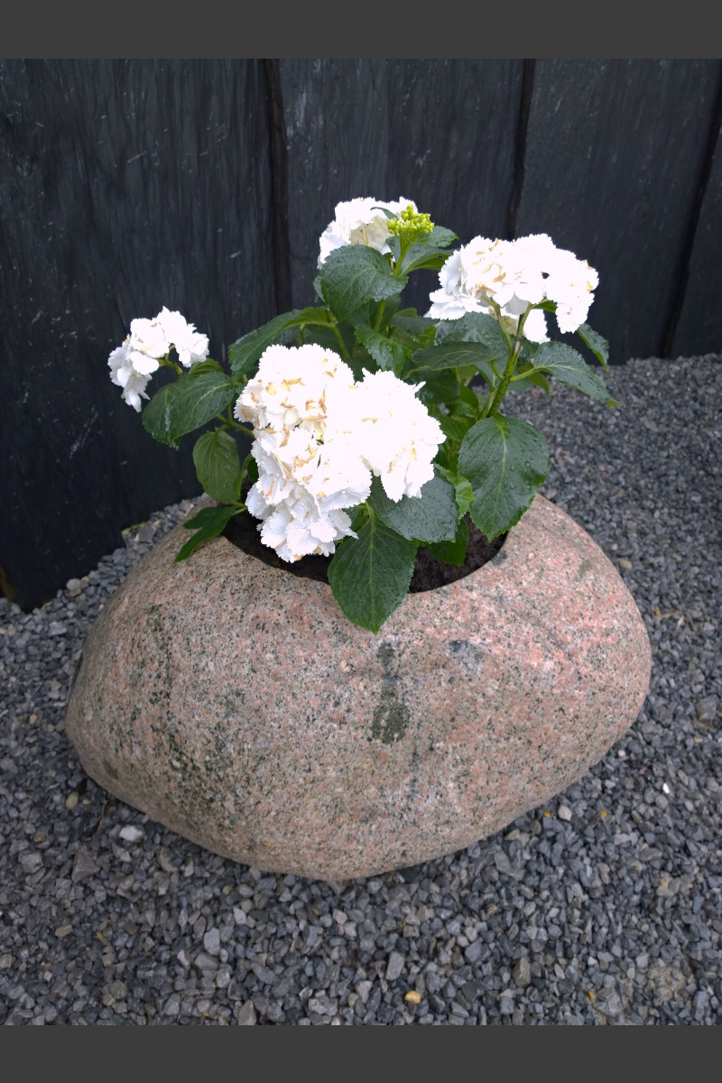 Blumenkübel Granit Findling Pflanzstein