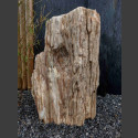 versteinertes Holz  72cm