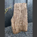 versteinertes Holz  81cm