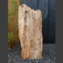 versteinertes Holz  88cm