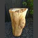 versteinertes Holz mit polierter Oberfläche 81,5kg