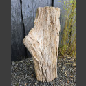 versteinertes Holz 78cm