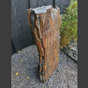 versteinertes Holz 220kg