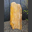 versteinertes Holz  geschliffen 62cm