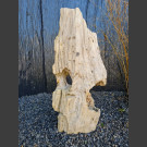 versteinertes Holz 89cm