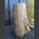 versteinerter Baumstamm poliert 86cm, 250kg