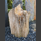 versteinertes Holz 77kg