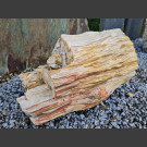 versteinertes Holz liegend 60cm