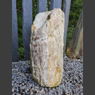 versteinertes Holz 50cm