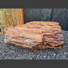 versteinertes Arizona Holz 195kg