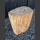 versteinerter Holz Hocker poliert 65,2kg