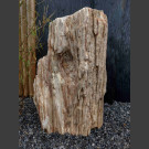 versteinertes Holz  72cm