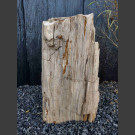 versteinertes Holz  64cm