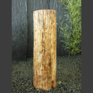 Denkmalstein versteinertes Holz 77cm 
