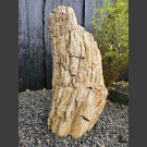 versteinertes Holz 75cm