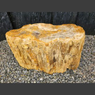 versteinertes Holz 35cm