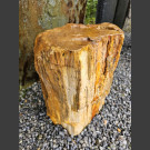 versteinertes Holz 39cm
