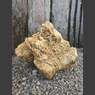 versteinertes Holz 44cm