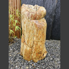 versteinertes Holz 63cm
