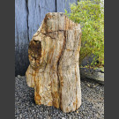 versteinertes Holz 75cm
