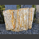 versteinertes Holz 48cm
