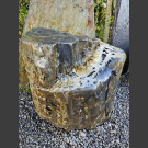 versteinertes Holz schwarz 53cm