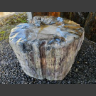 versteinertes Holz 42cm