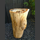 versteinertes Holz mit polierter Oberfläche 81,5kg